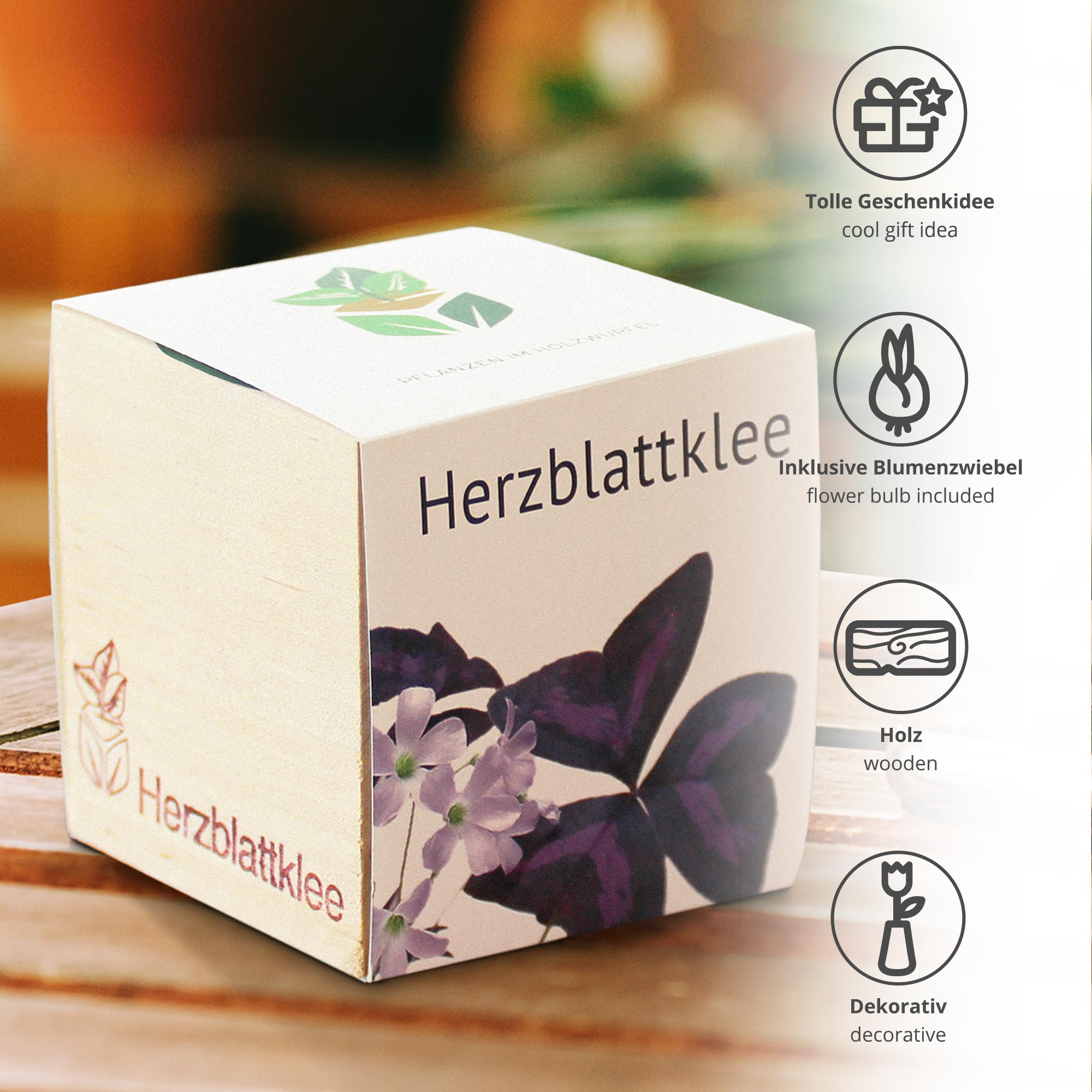 Ökologisches Klee Pflanzset, Herzblattklee im Holzwürfel züchten, Roter Glücksklee im Eco Cube, Kompostierbares Anzuchtset für Dreiecksklee