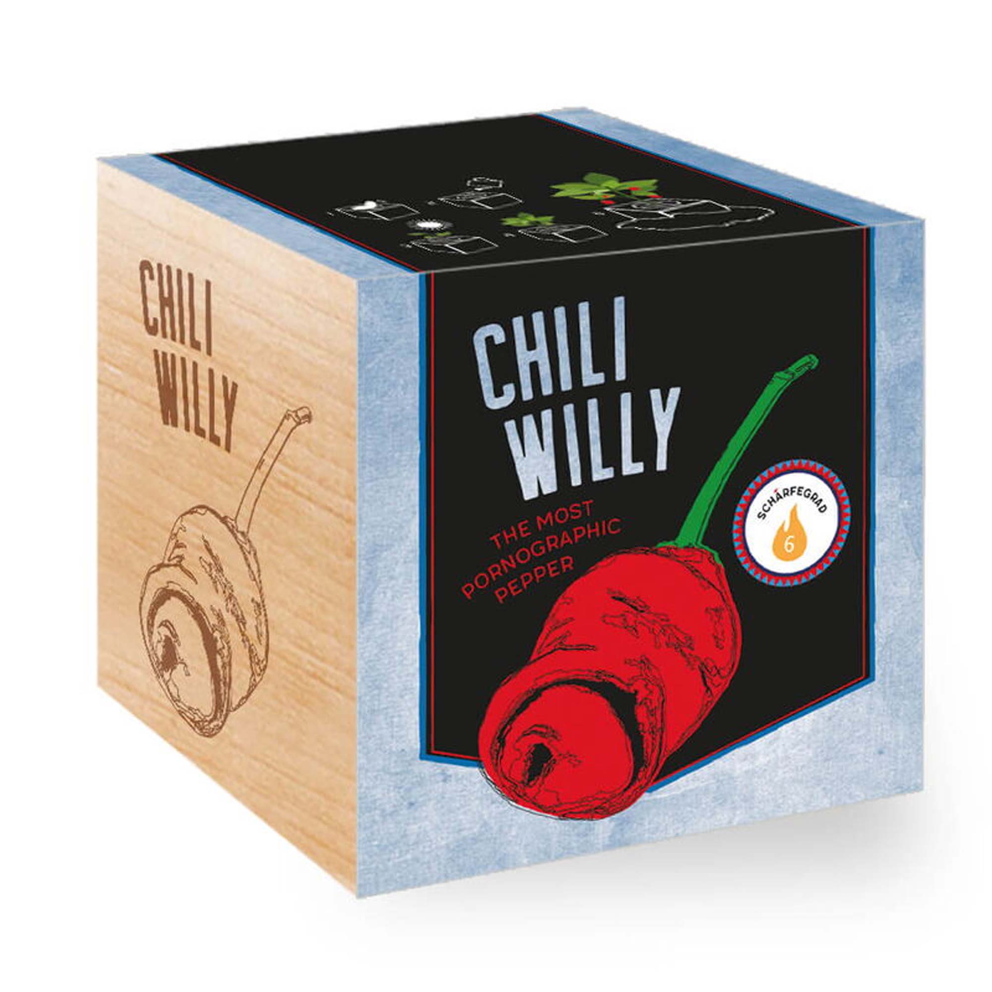 Eco Holzwürfel Chili Willy