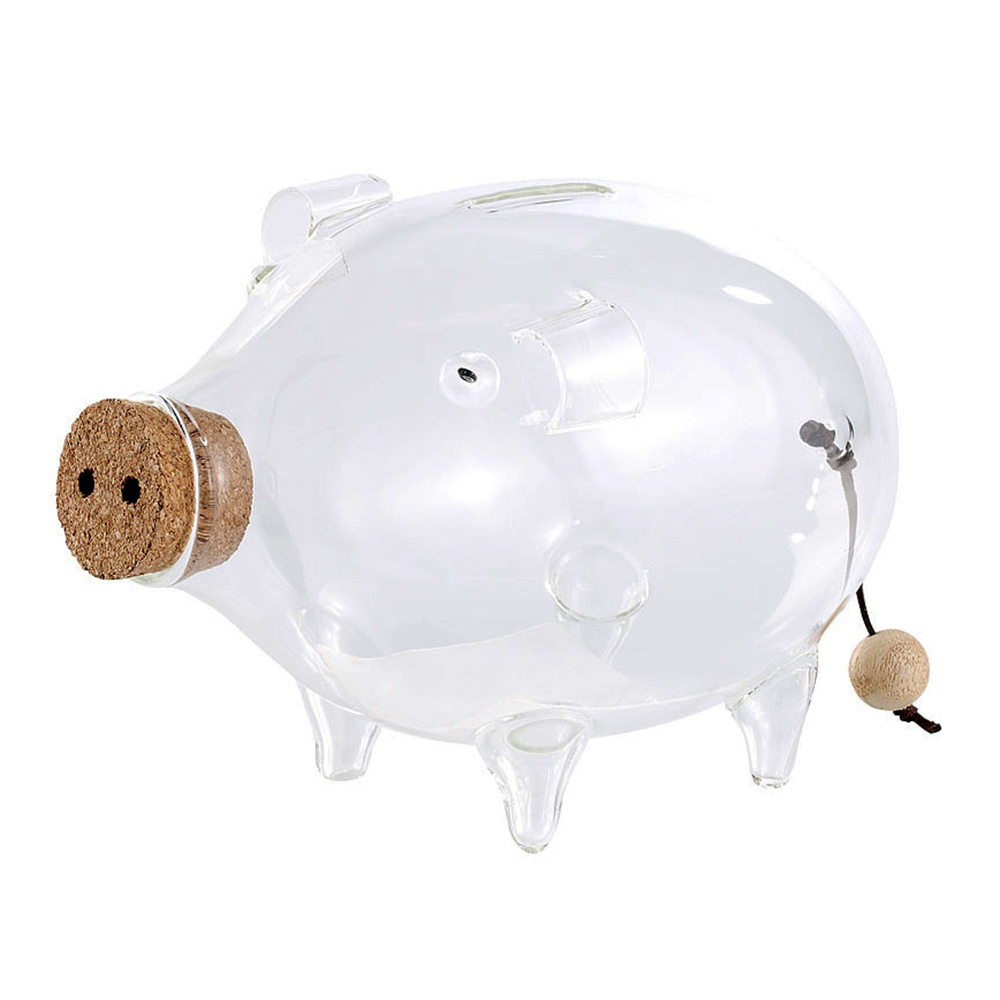 XXL Spardose - Geldgeschenk zur Hochzeit, Glas Sparschwein als originelle Geldgeschenkidee zum Geburstag, durchsichtige Sparbüchse mit Korkverschluss