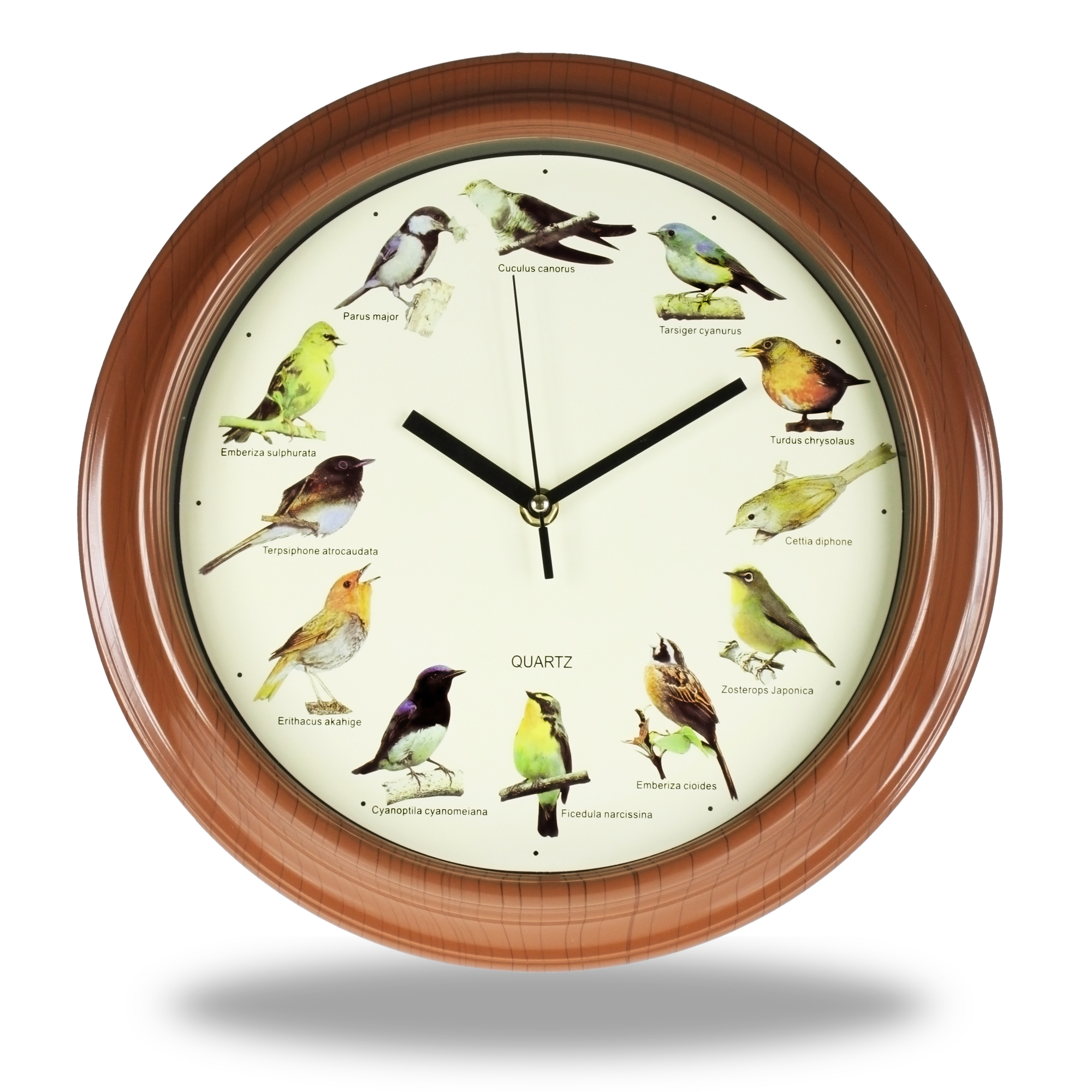 Motiv Uhr - Vogelgezwitscher