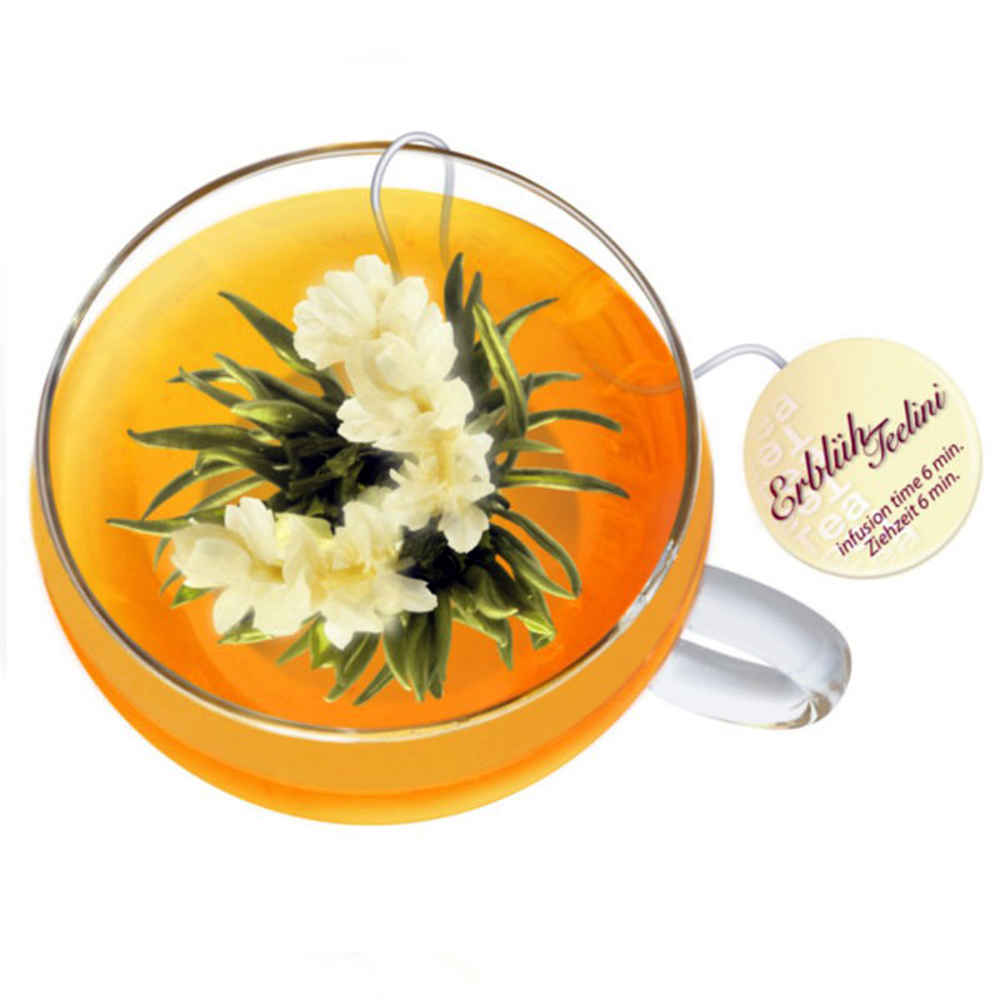 Weiße Erblüh-Teelini mit Tasse