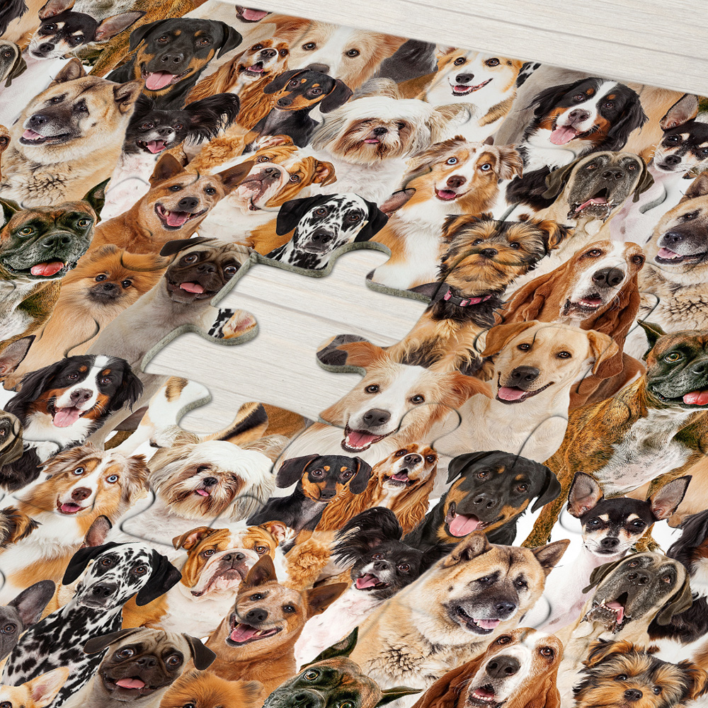 Unlösbares Puzzle - Katzen und Hunde