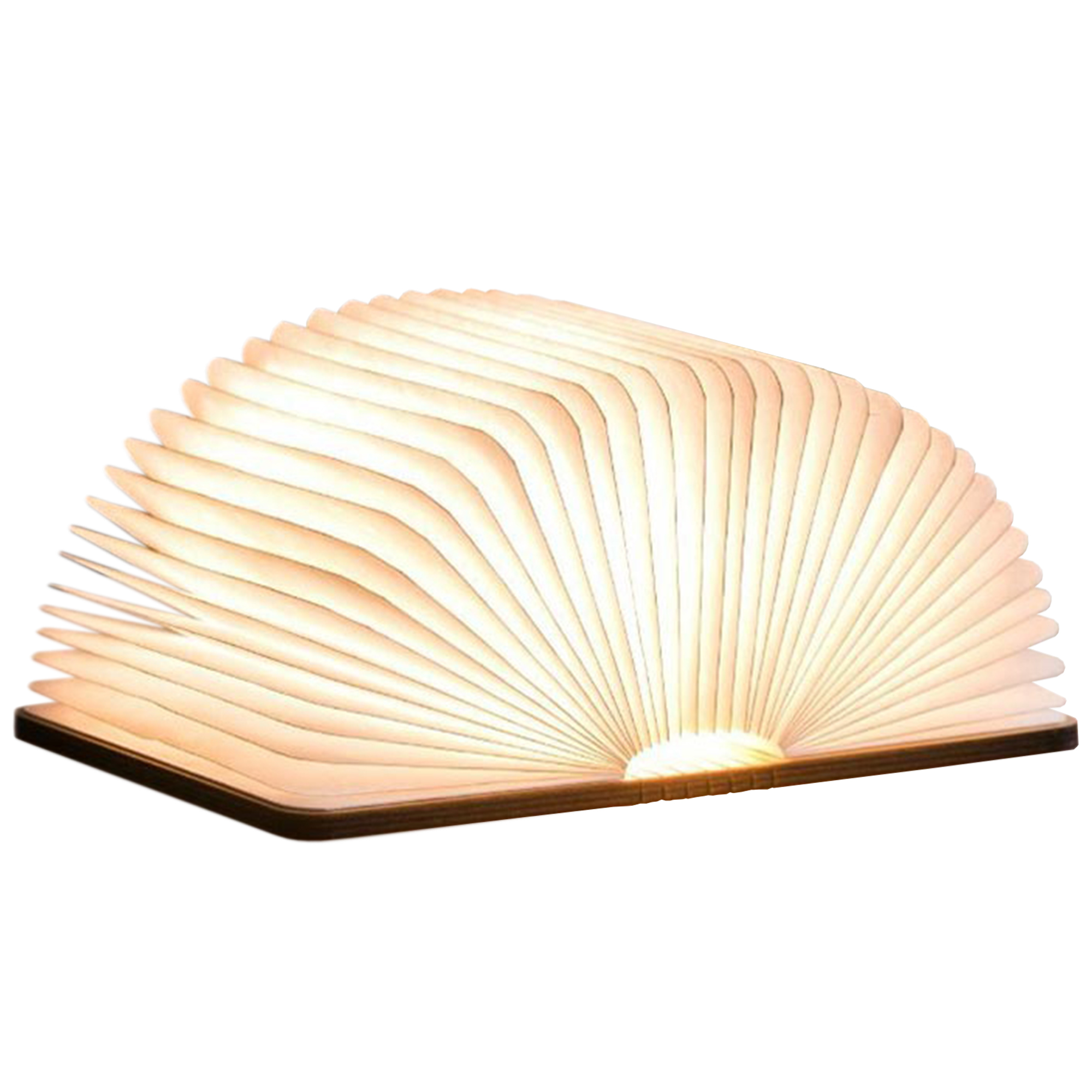 LED Lampe Buch