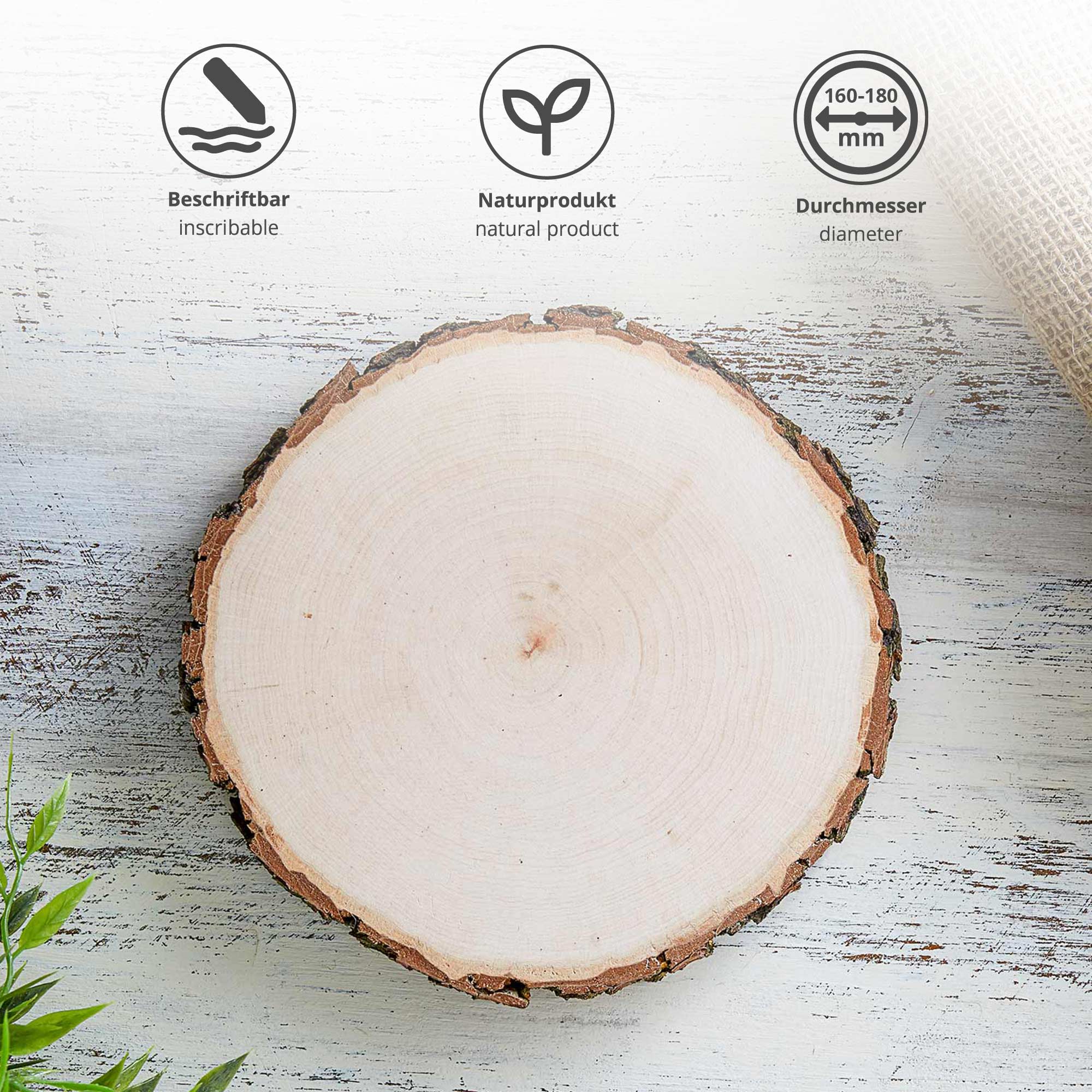 Holzscheiben mit Rinde im 3er Set, Holz Rundscheibe als schlichte Holzdeko, Astscheiben zum Basteln und Verzieren, Rindenbrett als Holz Tischdeko