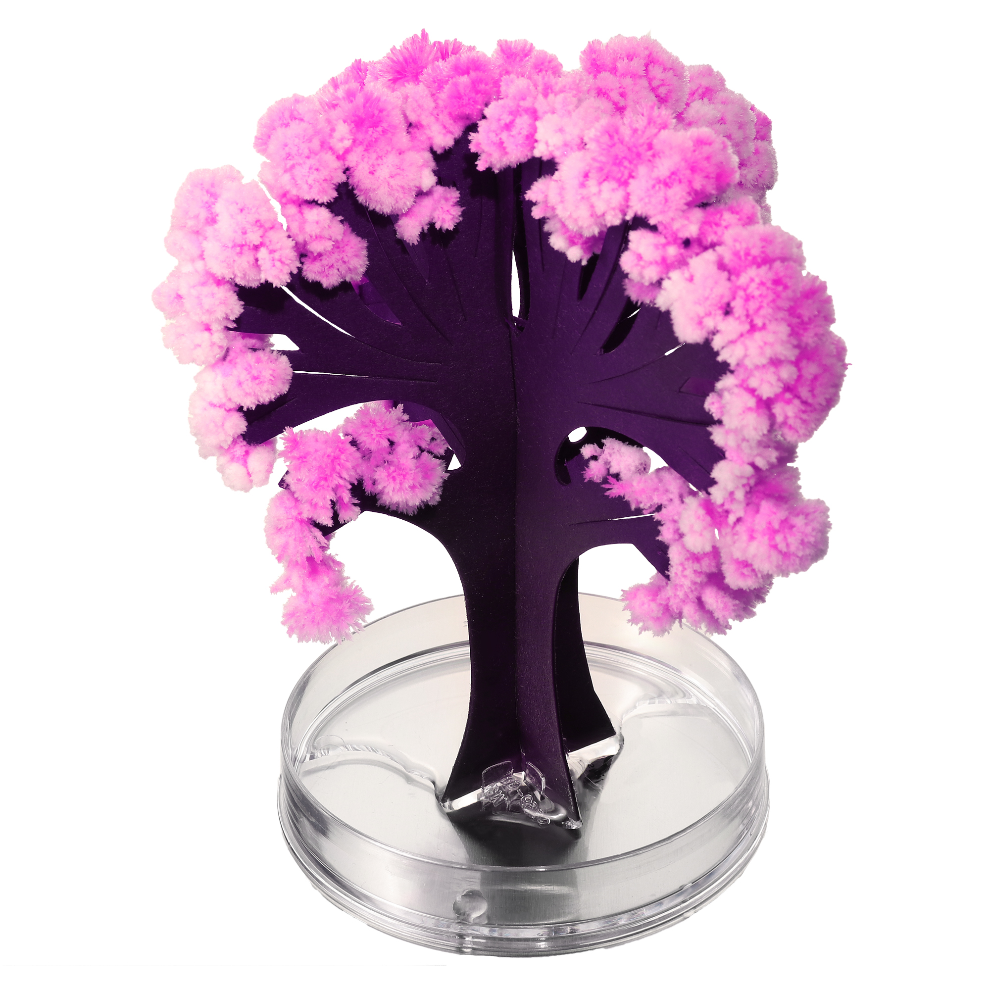 Miniaturbaum Magic Sacura