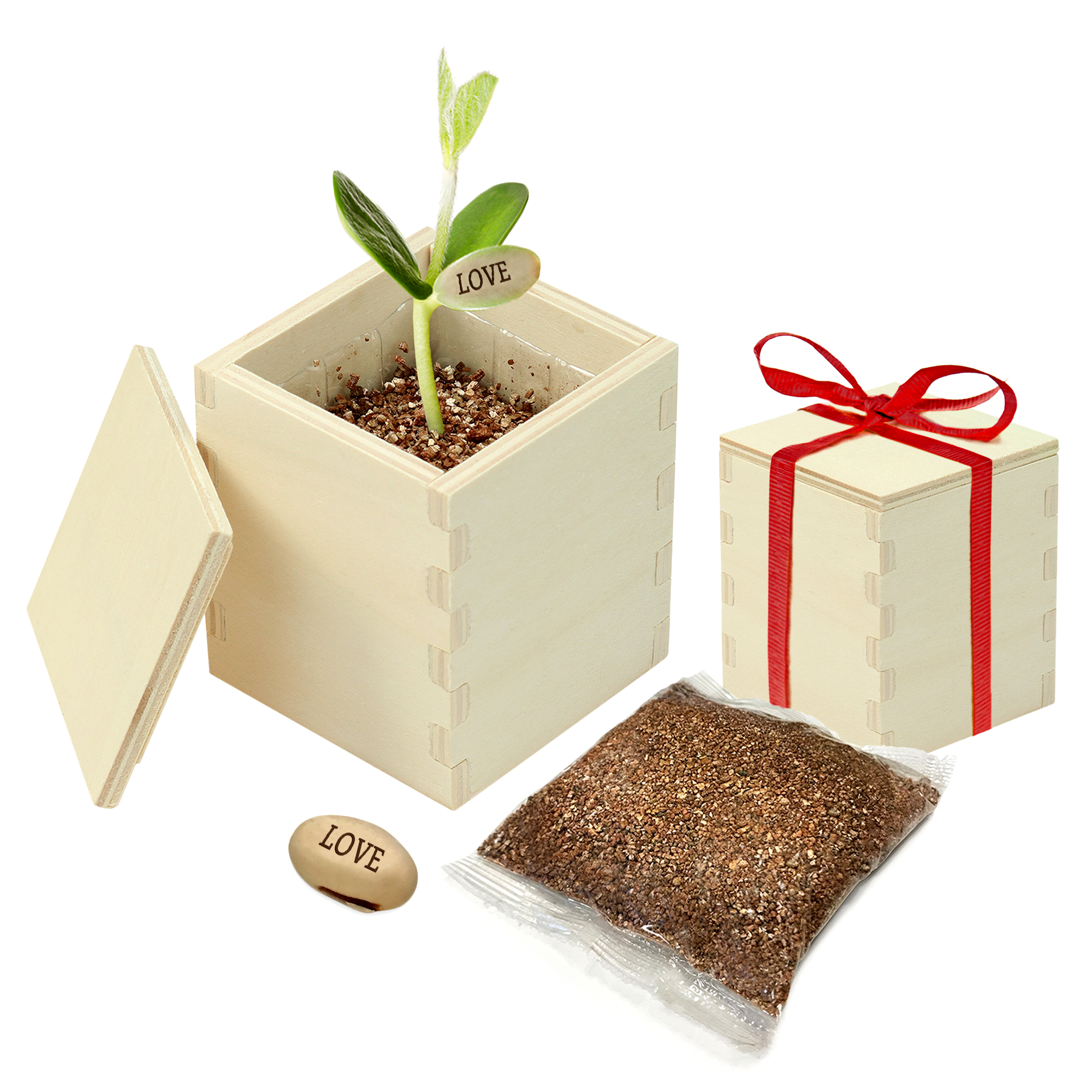 Zauberbohne - Liebesgeschenk, Zauberbohne, liebesgeschenke, Geschenke für Frauen , liebesbeweis geschenk