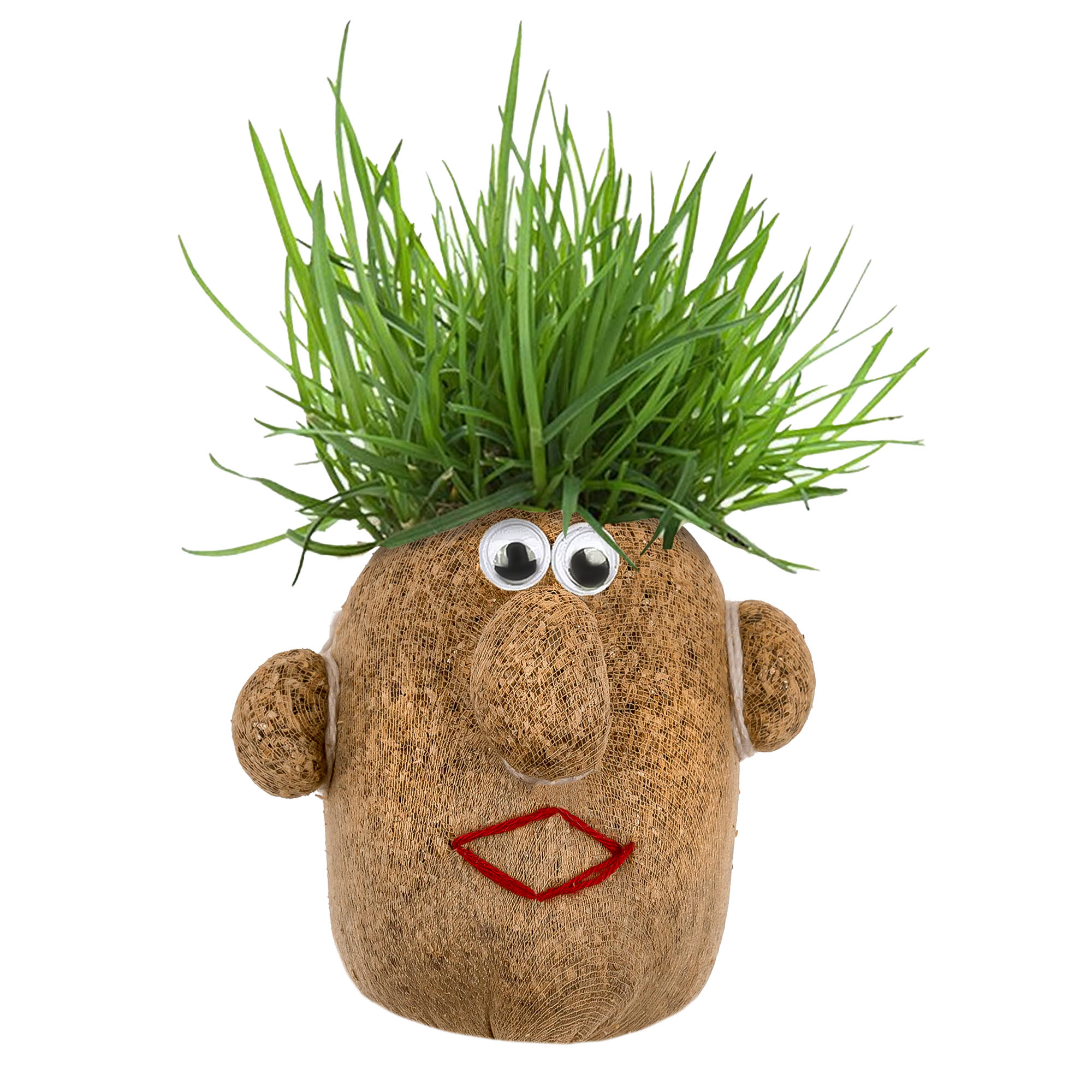 Lustiger Graskopf Mann
