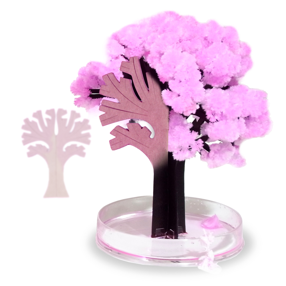 Miniaturbaum Magic Sacura