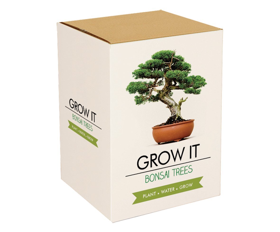 Bonsai Bäume selber pflanzen Set