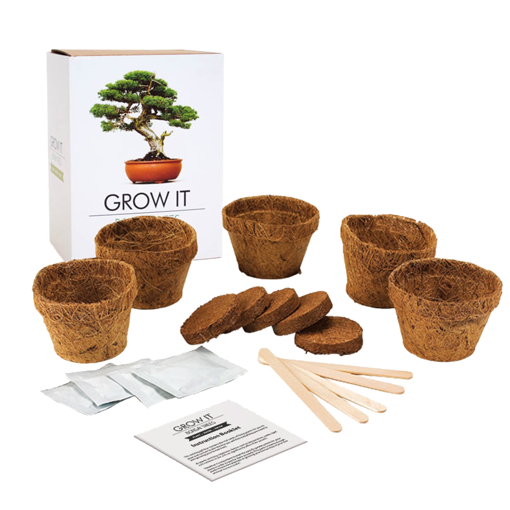 Bonsai Bäume selber pflanzen Set
