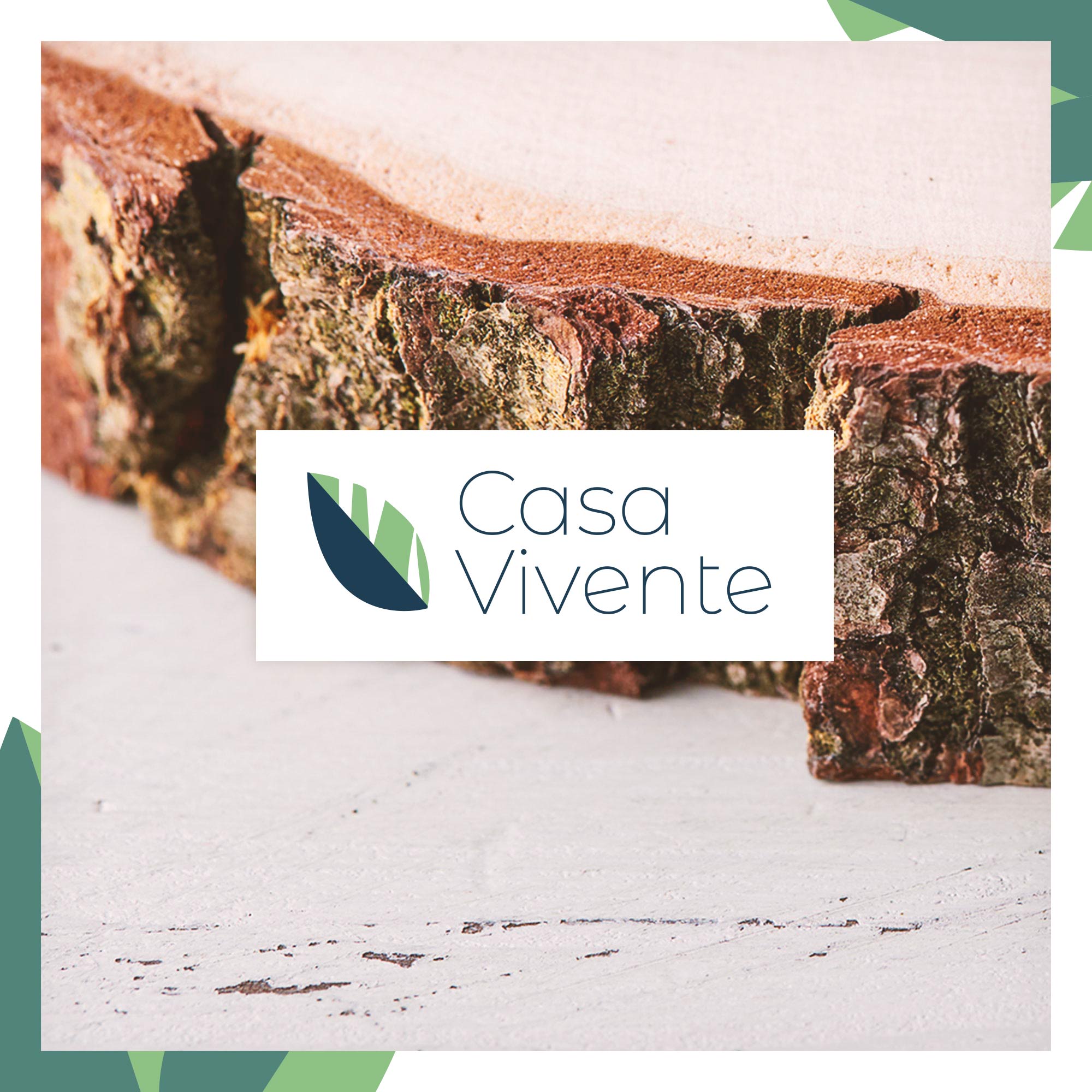 Holzscheiben mit Rinde im 3er Set, Holz Rundscheibe als schlichte Holzdeko, Astscheiben zum Basteln und Verzieren, Rindenbrett als Holz Tischdeko