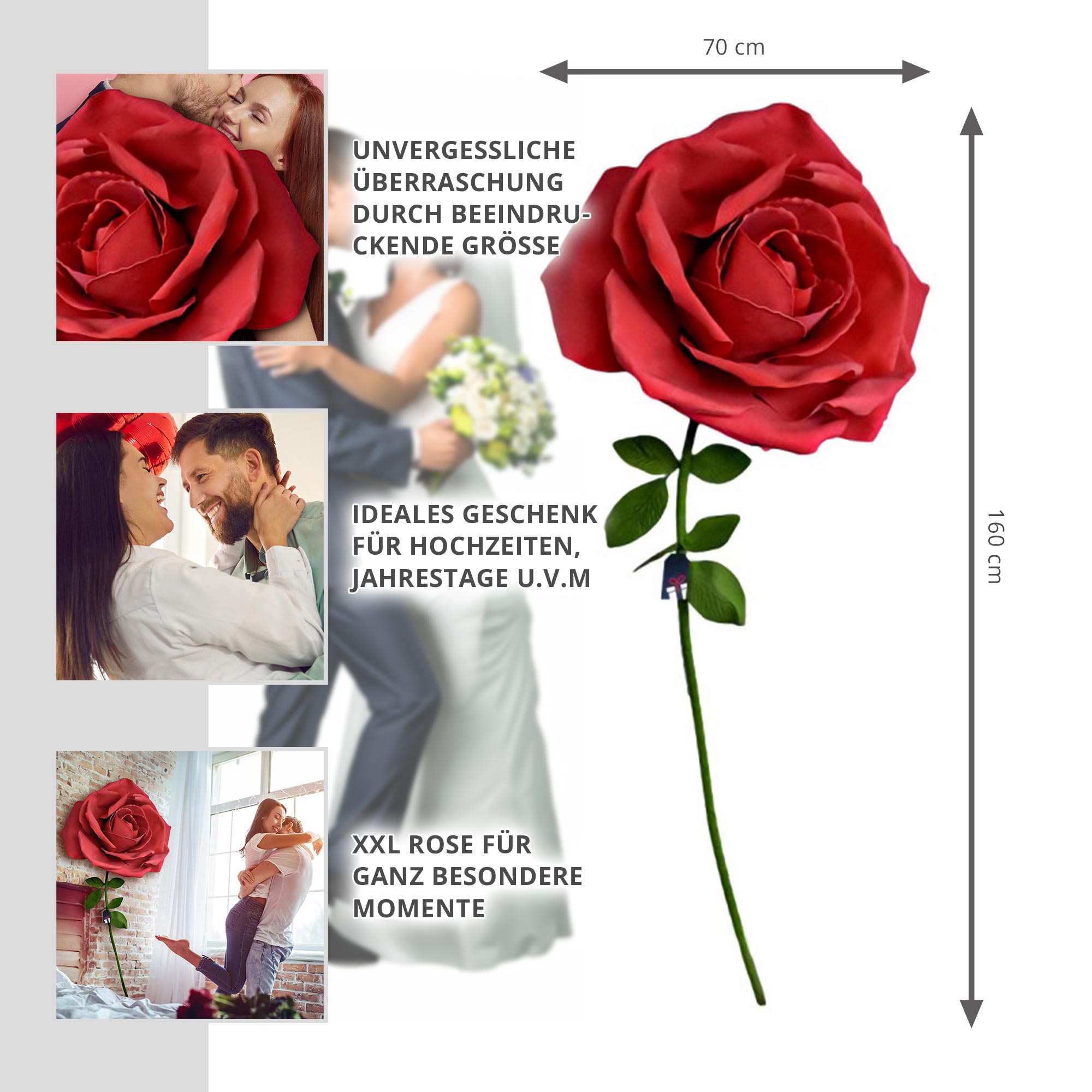 XXL Rose - ultimatives Liebesgeschenk