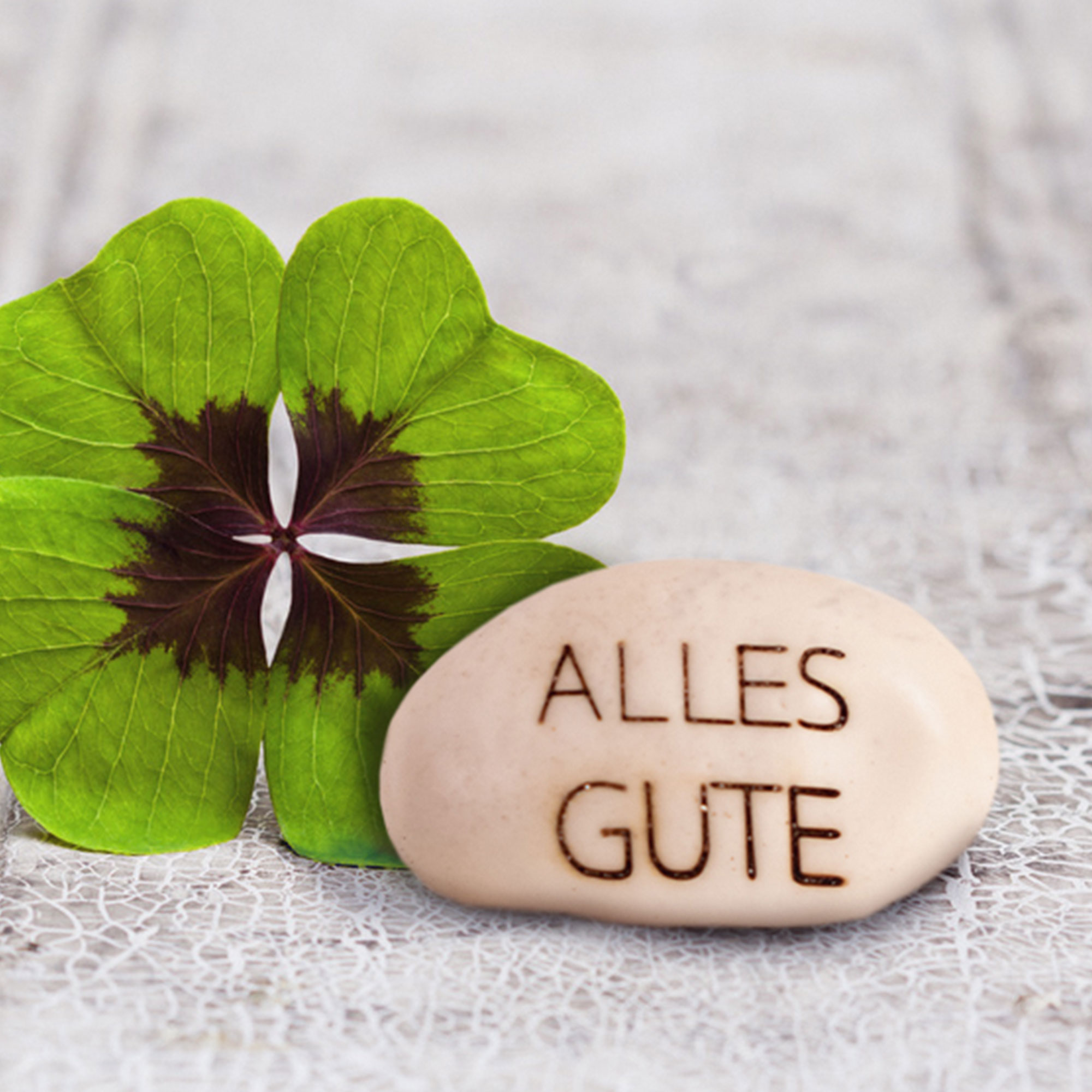 Zauberhafter Bohnensamen zum Geburtstag 3