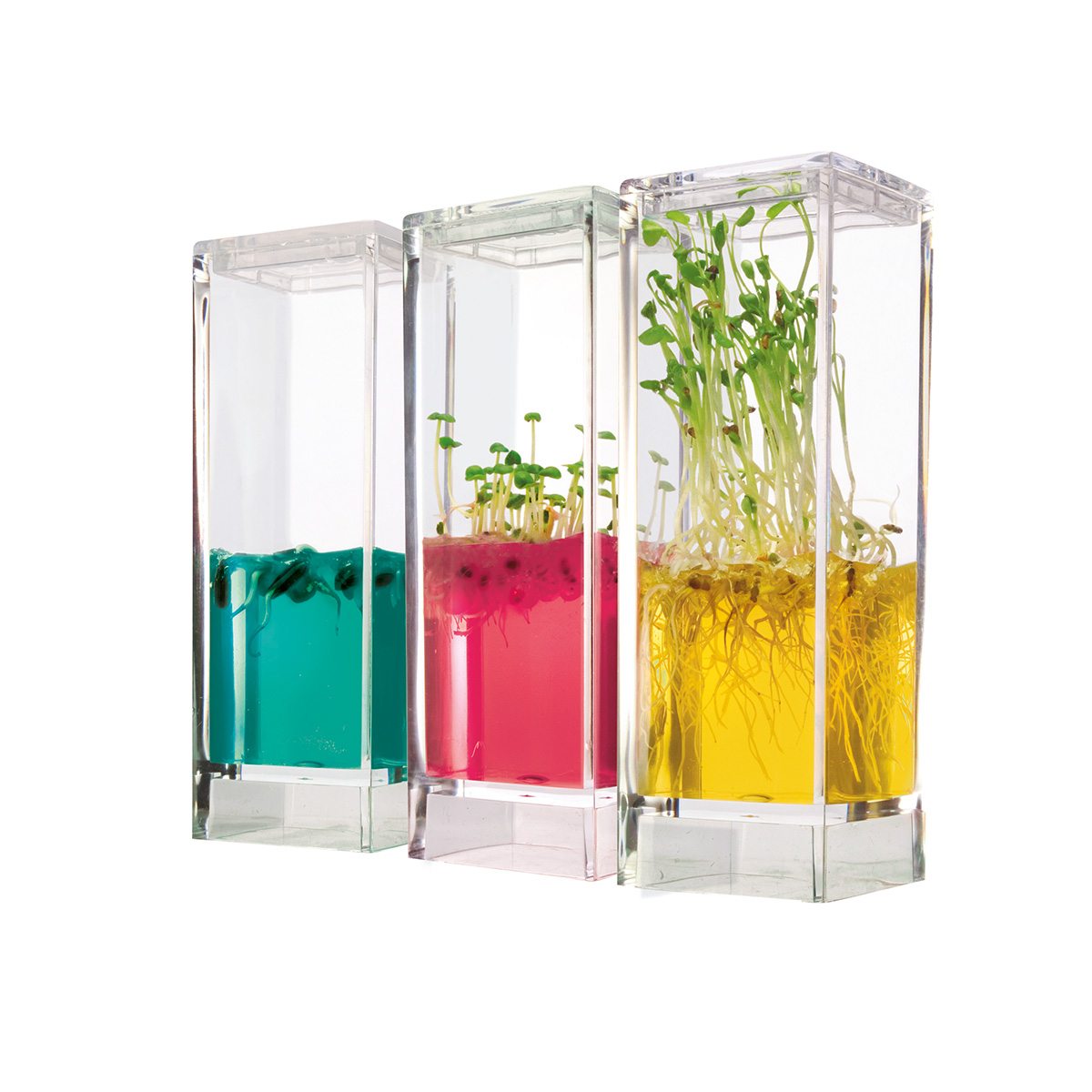 Mini Gewächshaus mit Gelsystem