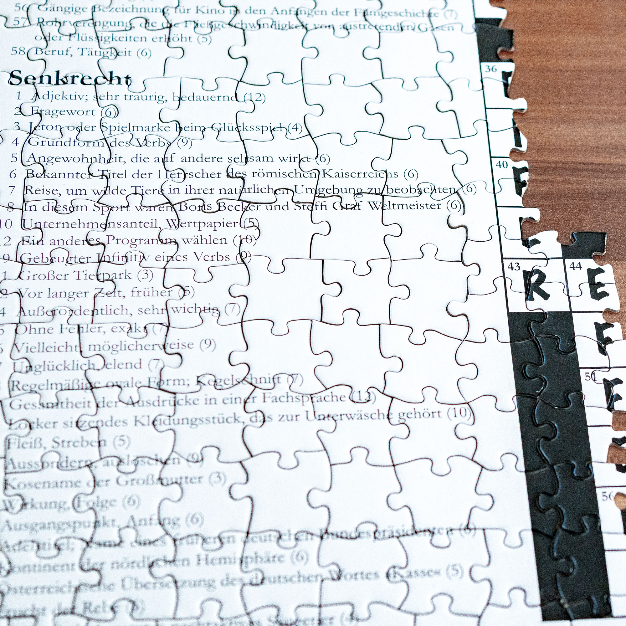 Das geniale Rätsel-Puzzle