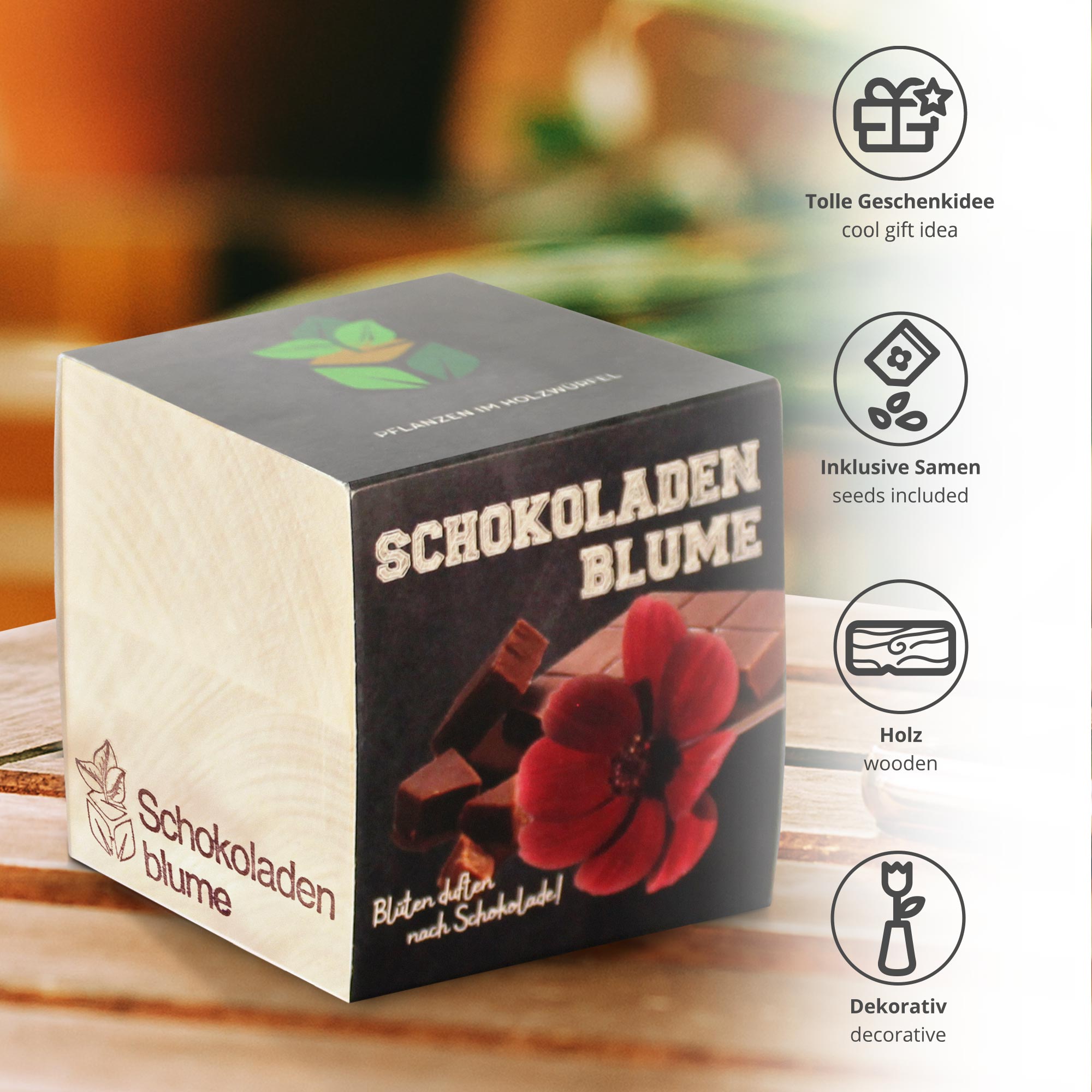 Schokoladenblume im Holzwürfel Anzuchtset, Pflanzwürfel mit Pflanzensamen, Duftende Blume zum Züchten, Schokoblume im Eco Cube Set