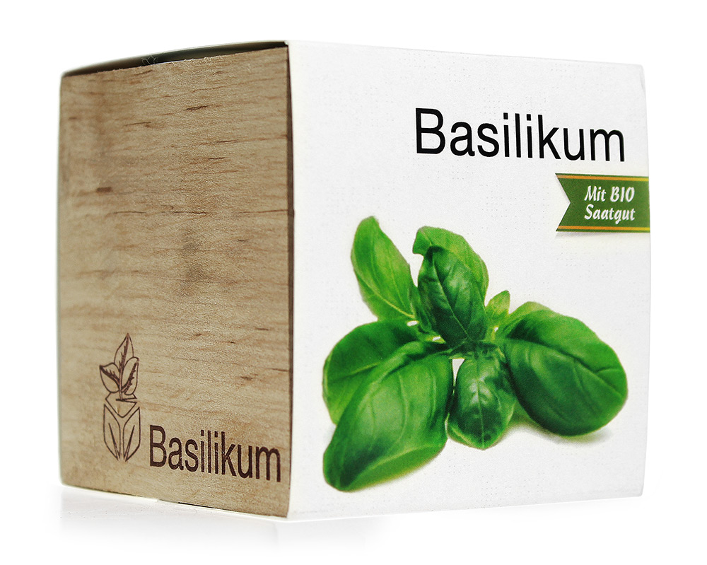 Eco Holzwürfel Basilikum