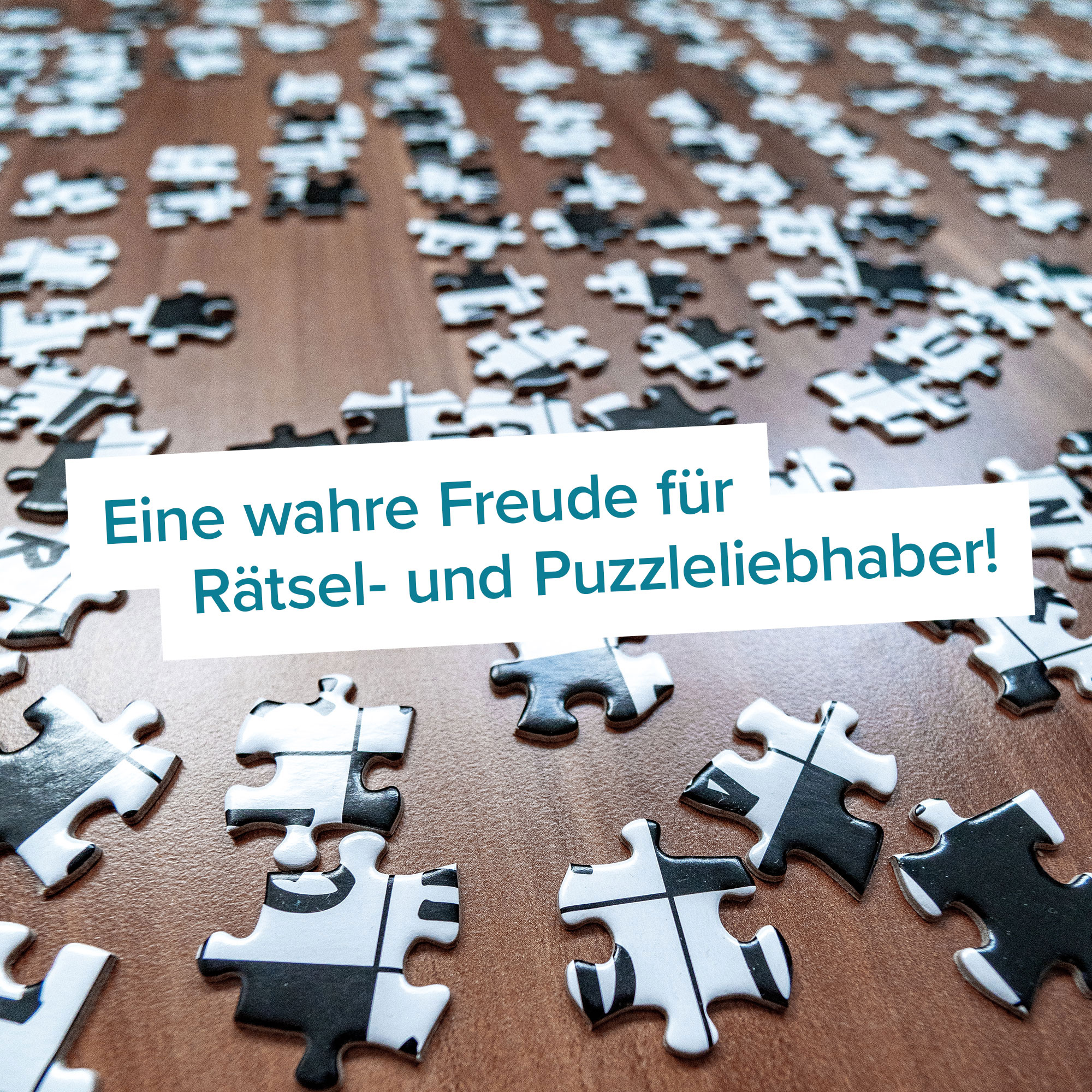 Das geniale Rätsel-Puzzle