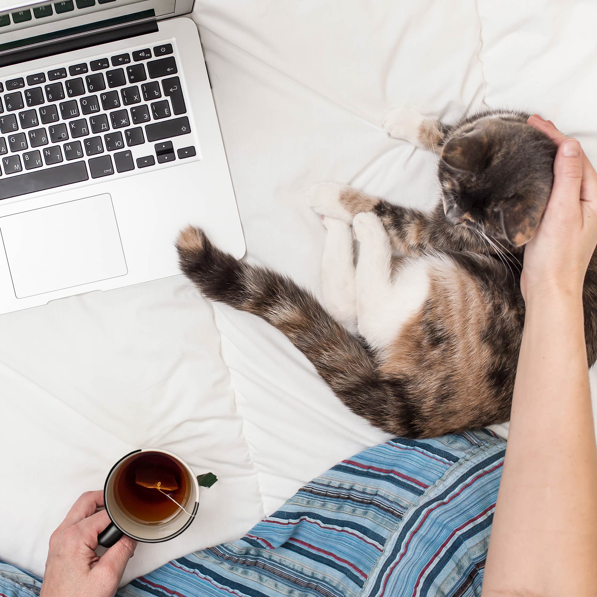 Teetasse in Katzenform, Latte Becher aus Keramik, Umgedrehte Tier Tasse, 400 ml Tasse für Heißgetränke, Kaffeetasse für Katzenfreunde, Katzen Mug