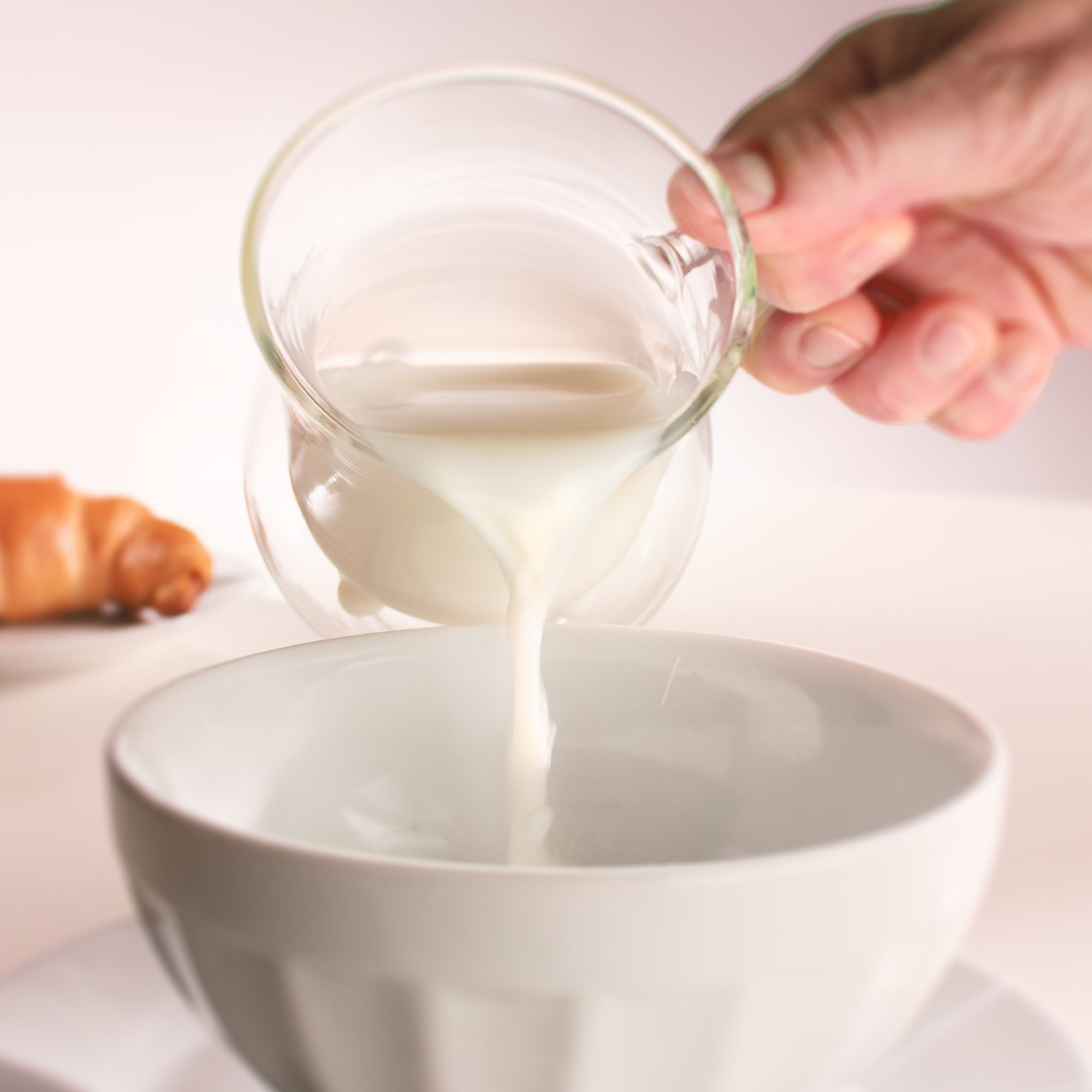 Doppelwandiges Milchkännchen - Kuh-Euter