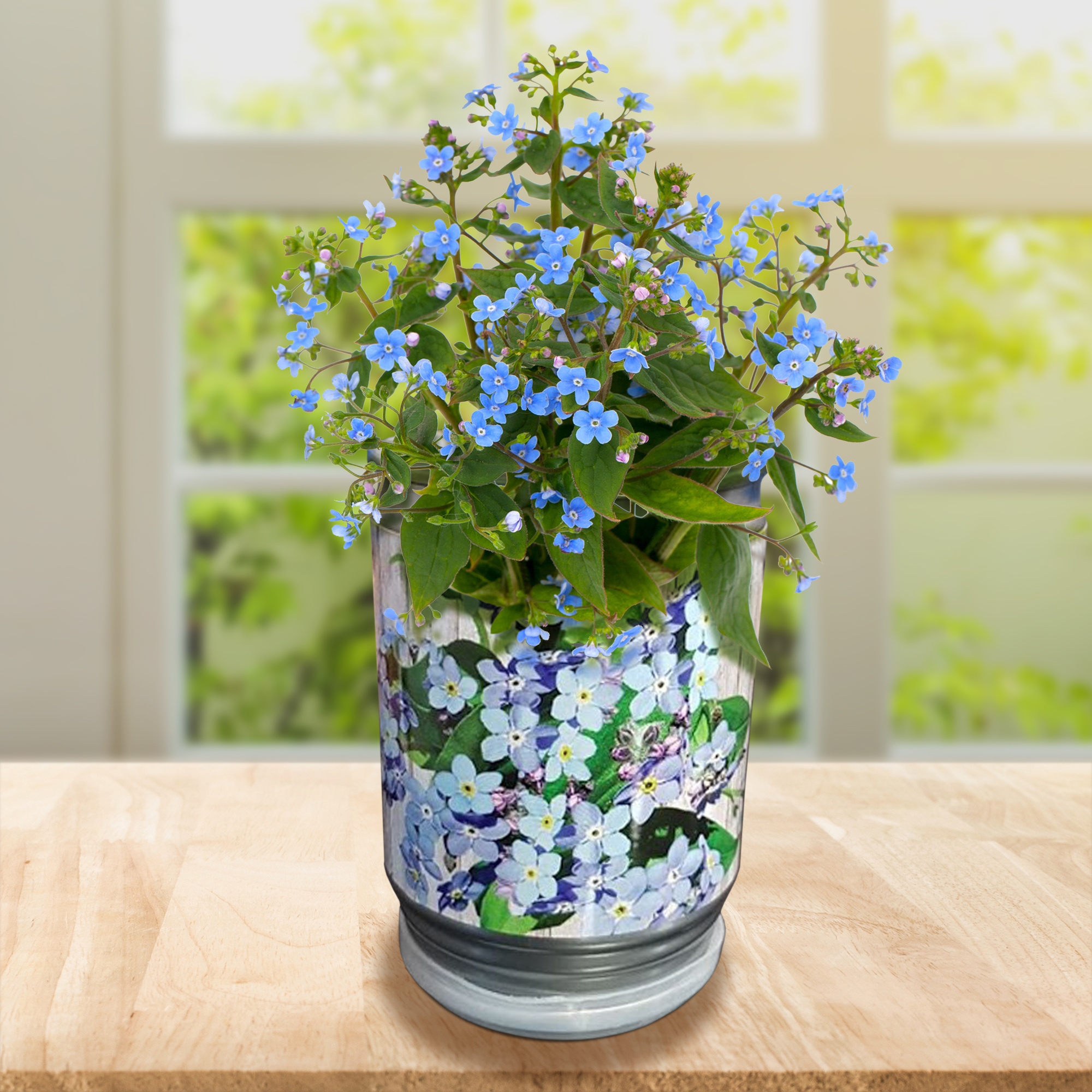 Vergissmeinnicht Dosenpflanze zum selber züchten, Vergiss mein nicht Blume im Pflanzen-Set mit Saatgut, Blumensamen für Mini Pflanze in der Dose