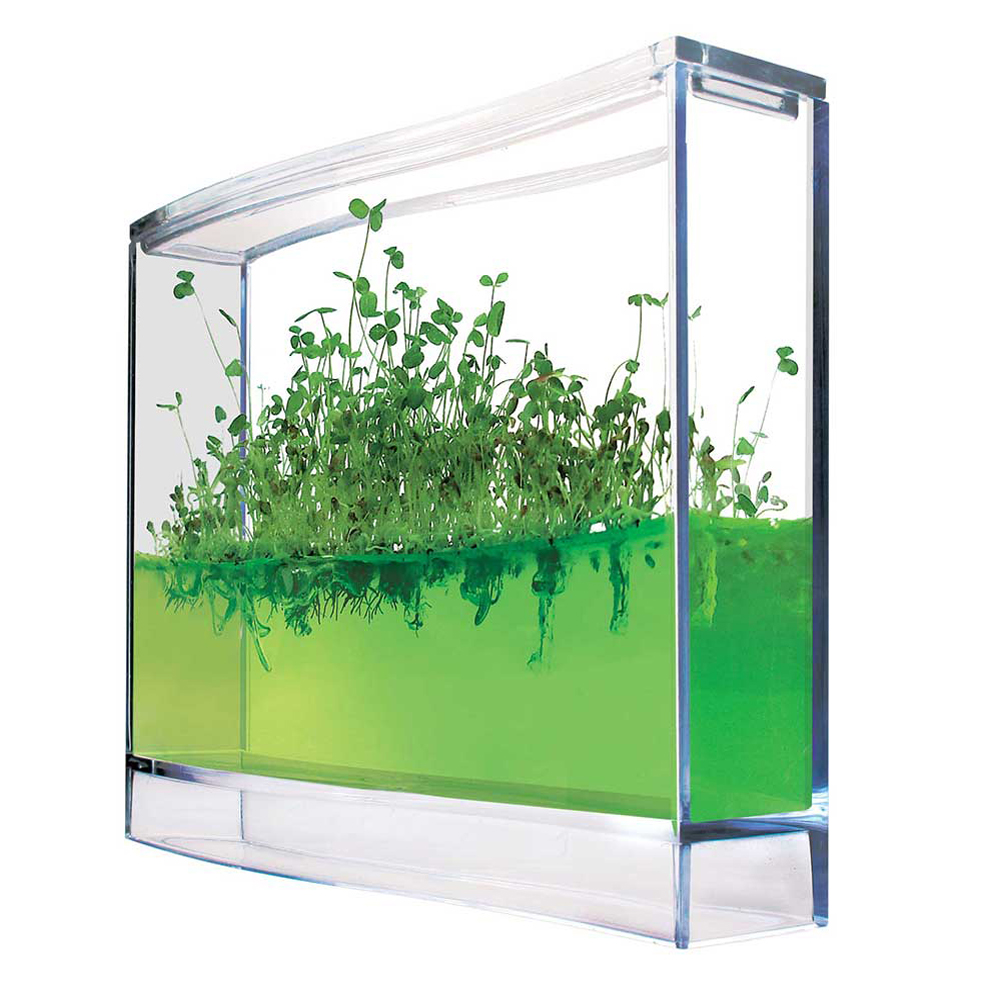 Plantarium Super - Mini Gewächshaus für Kräuter