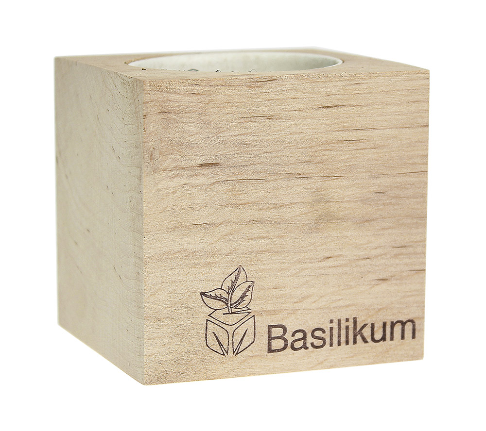 Eco Holzwürfel Basilikum