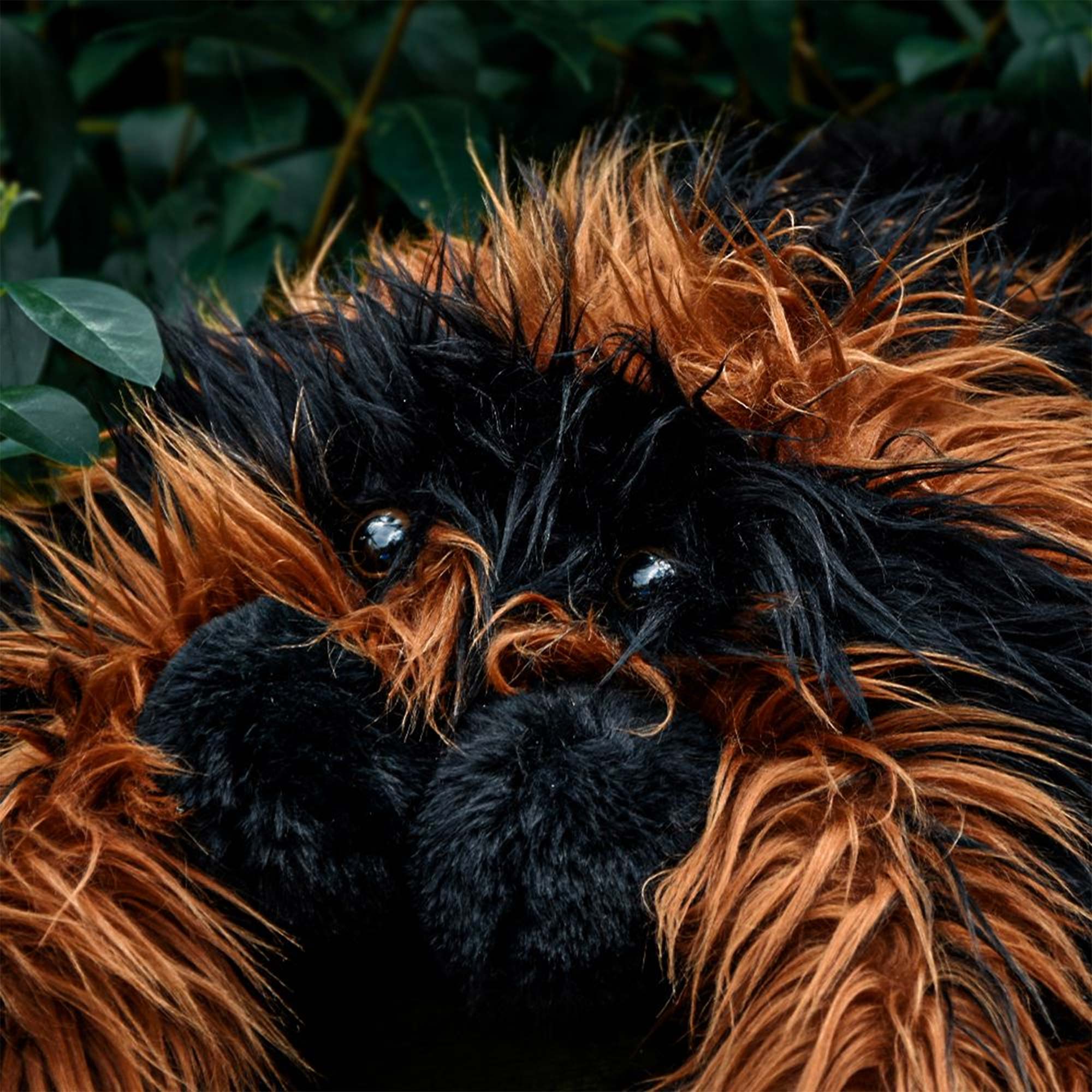 Riesen Spinne - XXL Kuschelkissen