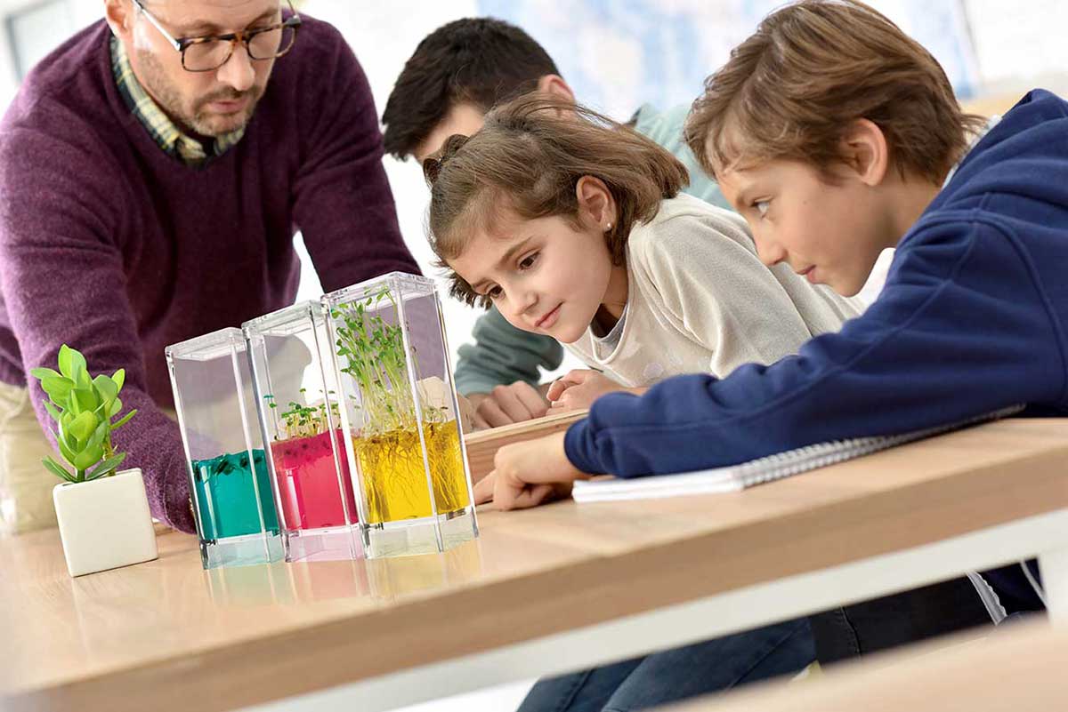 Mini Gewächshaus mit Gelsystem