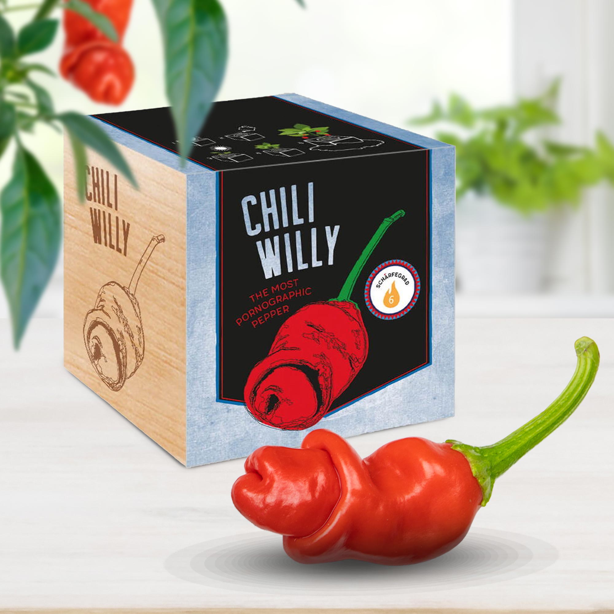Eco Holzwürfel Chili Willy