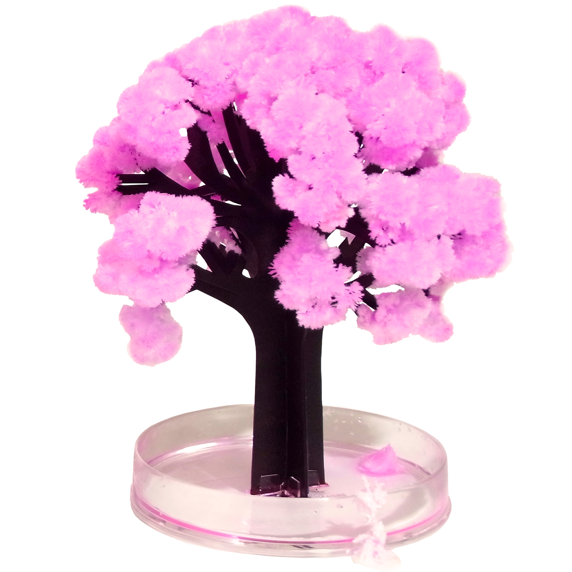 Miniaturbaum Magic Sacura